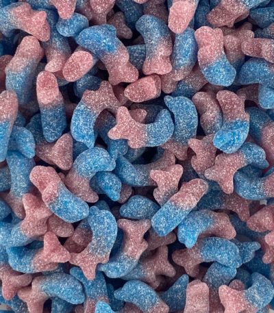 Bonbon Dauphin Bubblegum Bonbons