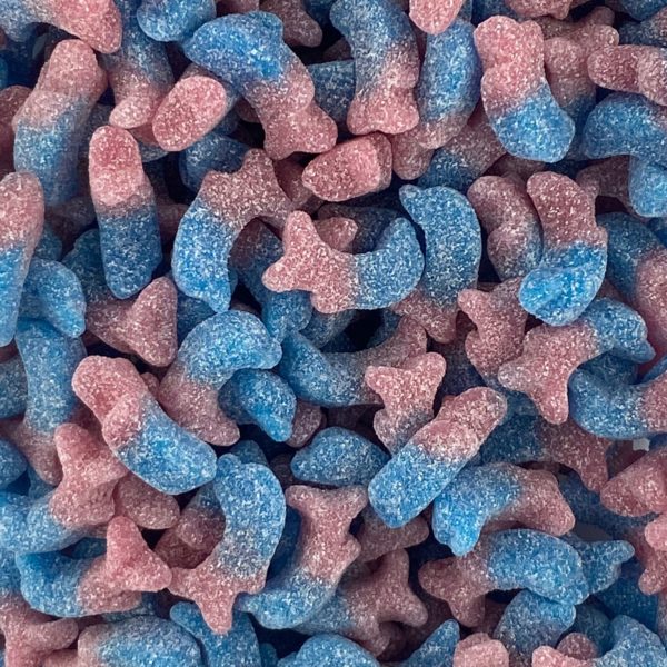 Bonbon Dauphin Bubblegum Bonbons