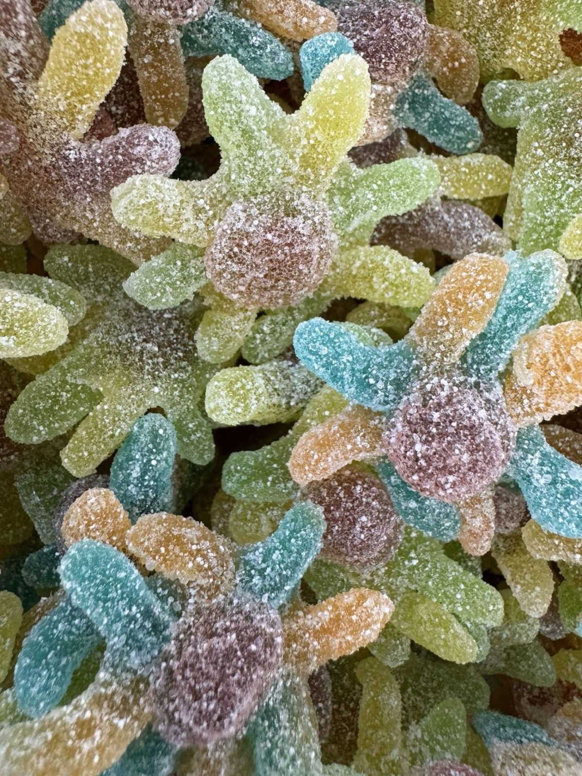 Bonbons Araignée acidulées Bonbons